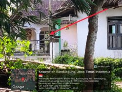 Diduga APH Tutup Mata dan Bungkam Terhadap Maraknya Penjualan ‘Pil Koplo’ di Desa Randuagung-Lumajang”