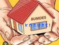 Mantan pengurus BUMDES BERKAH ABADI, pekon SIDOHARJO di duga korupsi berjamaah