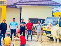 Komplotan maling sapi beraksi di Lampung ,baru kabur 1,5 km ,ketahuan warga
