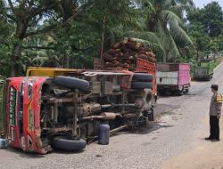 Mobil truk bermuatan sawit terguling di jalan adiluwih Pringsewu . Di duga alami patah AS saat menanjak