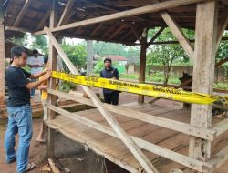 Petani di Lampung timur tewas di tembak teman usai cekcok saat main kartu