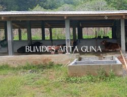 BUMDES Arta guna pekon Wates , Pringsewu mengaku tidak tahu menahu terkait realisasi dana ketahan pangan