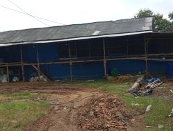 Bau menyengat dari kandang ayam dekat pemukiman warga