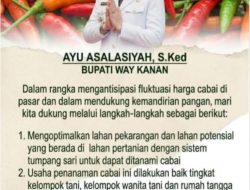 Kejar swasembada cabai, bupati way kanan intruksikan warga manfaatkan lahan pekarangan