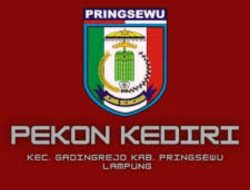 Realisasi dana desa pekon Kediri tahun anggaran 2024 – 2025 , warga mempertanyakan