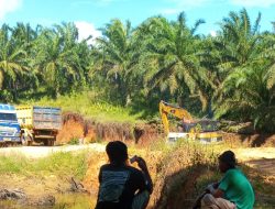 Tambang Galian C Ilegal di Pringsewu Beroperasi Bebas, Diduga Ada Pembiaran